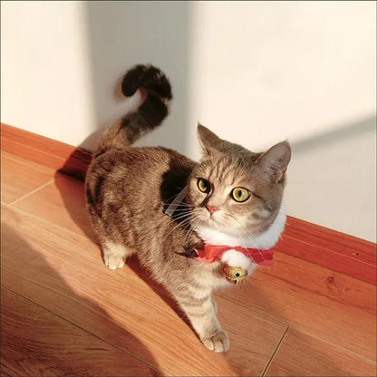 Christmas Theme Scarf Bow Bell Cat And Dog Jewelry Christmas