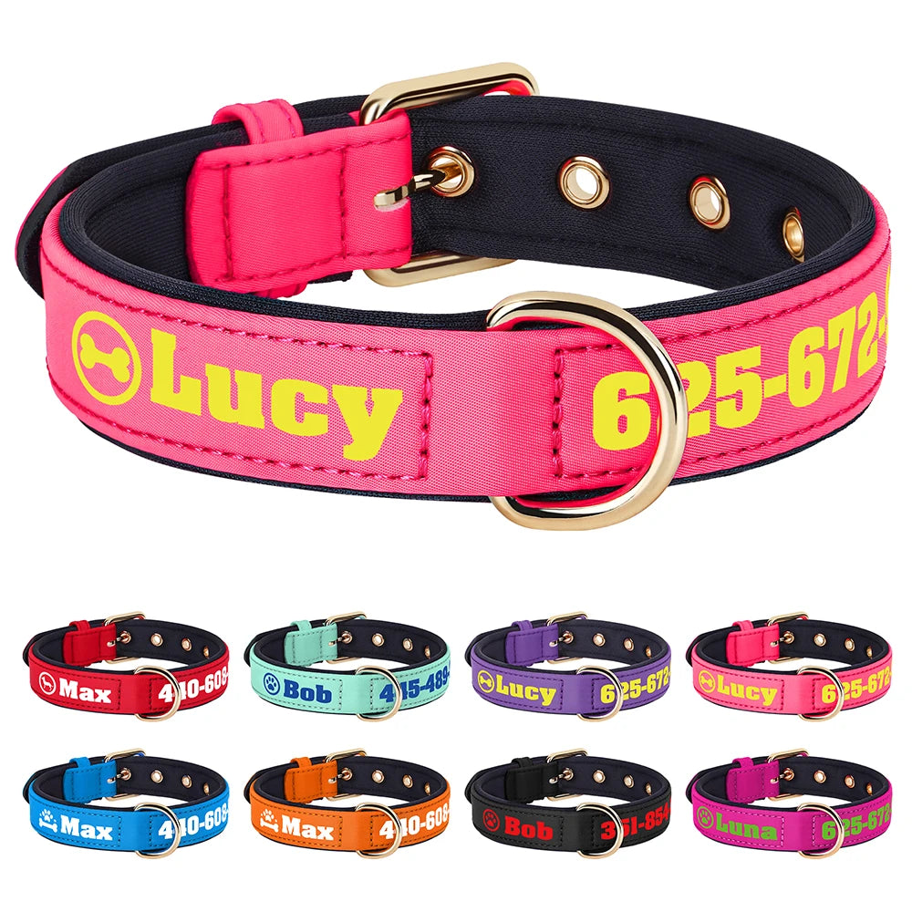 Personalized Breathable Nylon Dog Collar with Soft Padding