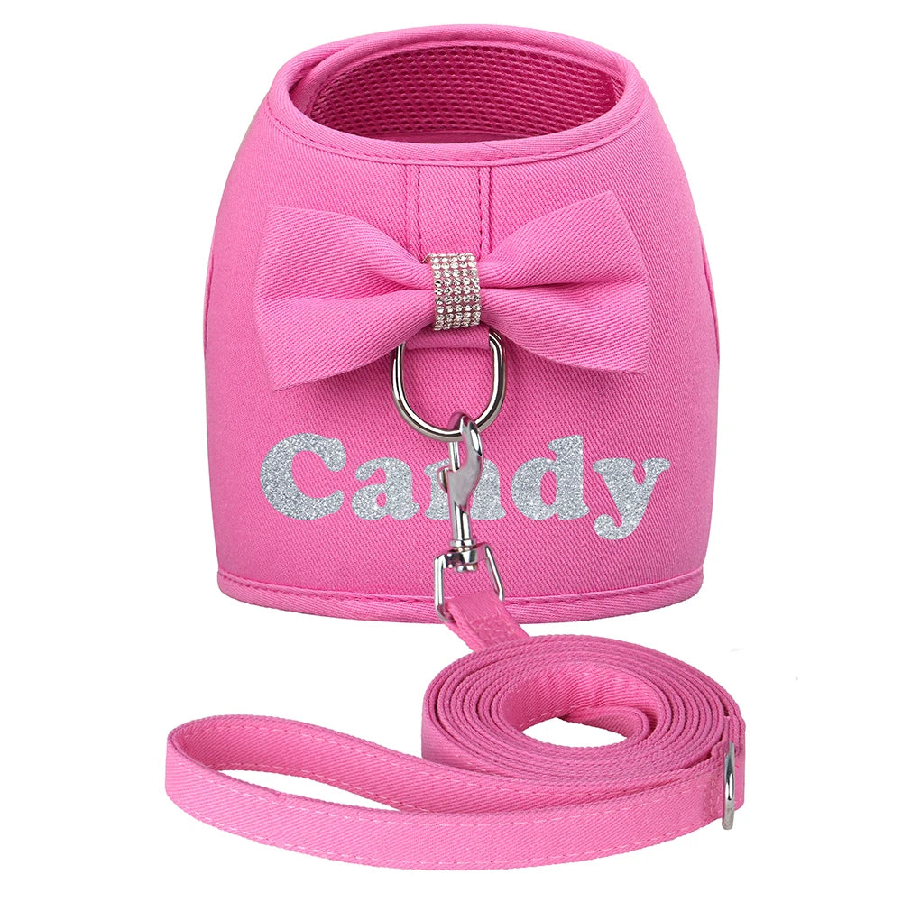 BowKnot Bliss: Personalized Mesh Harness & Leash Set for Stylish Pups - Barking Meows