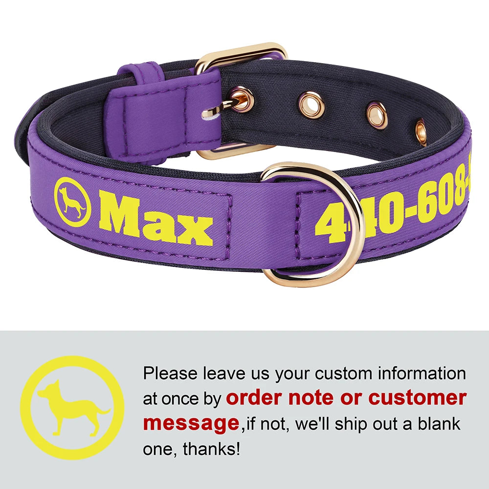 Personalized Breathable Nylon Dog Collar with Soft Padding