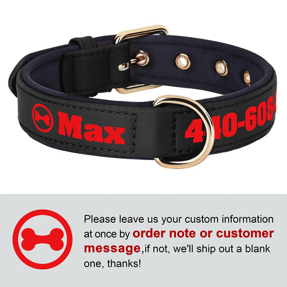 Personalized Breathable Nylon Dog Collar with Soft Padding