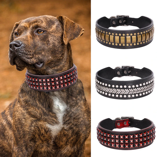TitanStride Luxury Genuine Leather Dog Collar – Heavy-Duty Metal Rivet Neck Protection for Medium and Large Breeds