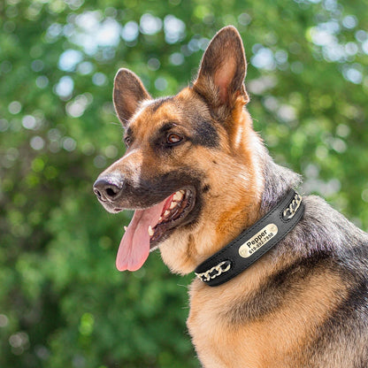 LuxeLeather Custom Dog Collar – Personalized ID Tag for All Breeds