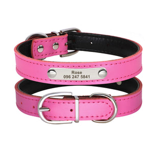 Personalized Leather Dog Cat Collar