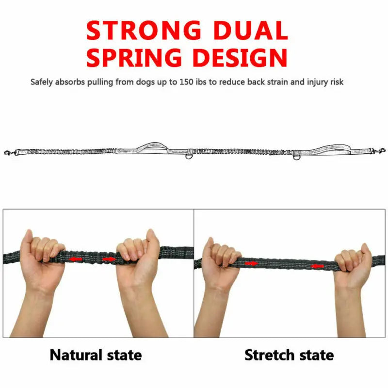 Reflective Leash Rope Dog Running Belt
