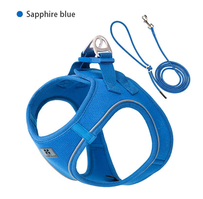 Reflective Comfort Harness & Leash Set for Small to Medium Dogs