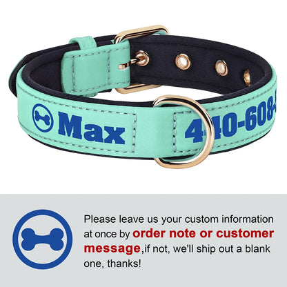 Personalized Breathable Nylon Dog Collar with Soft Padding