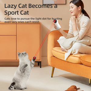 ROJECO Interactive Automatic Laser for Cat