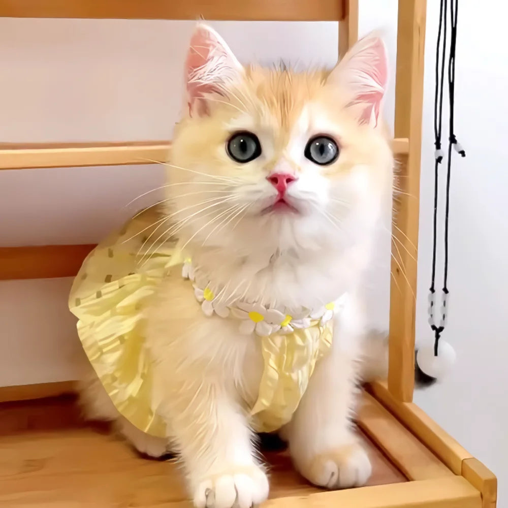Blossom Breeze Pet Skirt – Elegant Floral Dress for Cats and Small Dogs