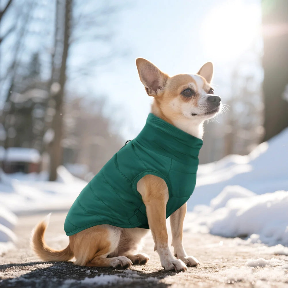 Cozy Furry Winter Vest for Small to Medium Dogs & Cats