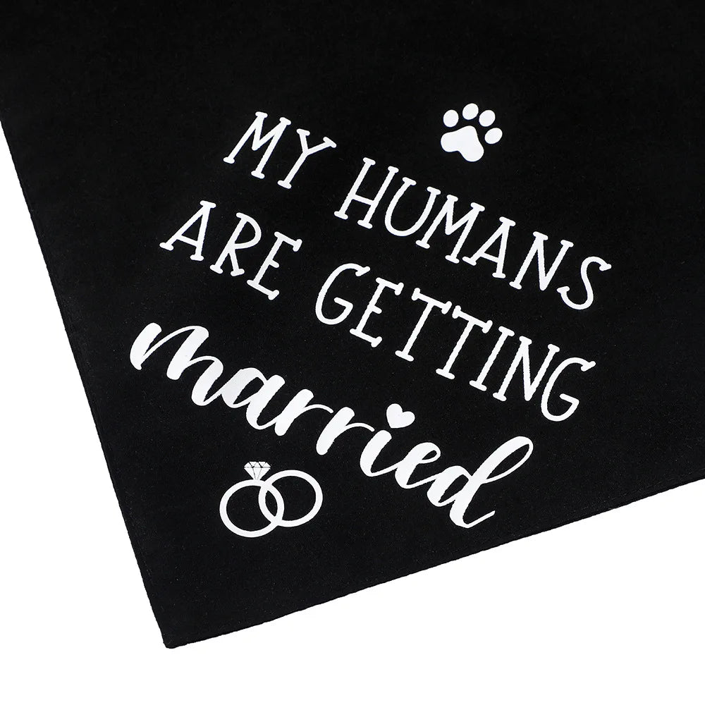 EverAfter Engagement & Wedding Pet Bandana – Charming Announcement Triangle Scarf