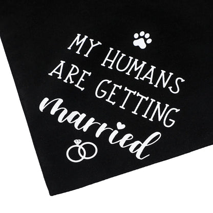 EverAfter Engagement & Wedding Pet Bandana – Charming Announcement Triangle Scarf