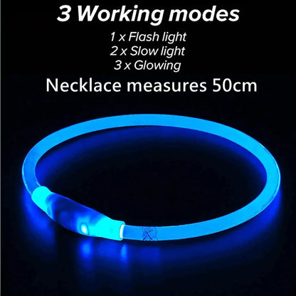 NightGlow USB Rechargeable LED Safety Collar – High-Visibility Cut-to-Fit Loss Prevention Collar