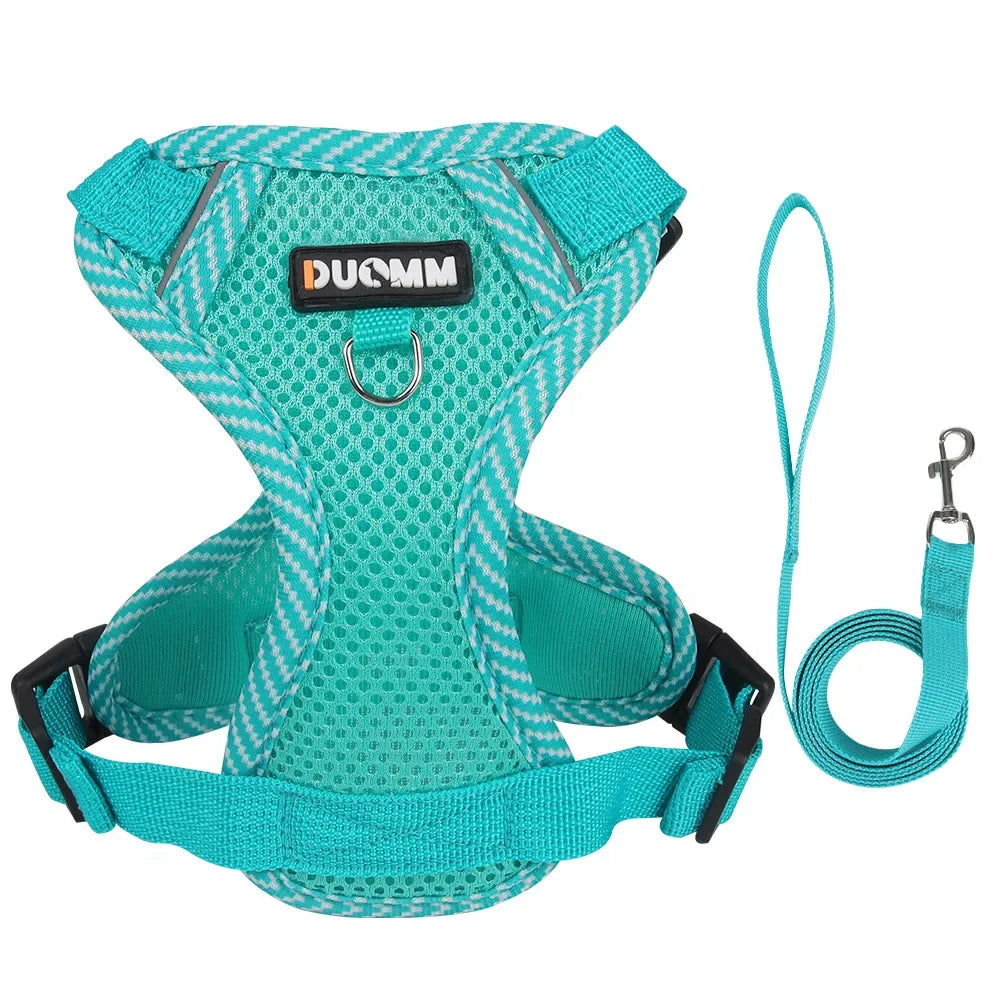 StrutStyle Fashion Reflective Mesh Harness & Leash Set – Premium Padded Outdoor Comfort for Cats and Small Dogs