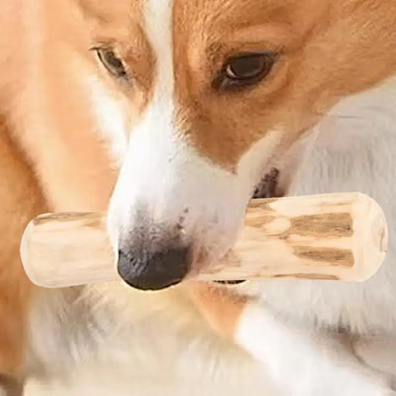 Natural Wooden Chew Stick for Aggressive Chewers - Safe, Durable, and Soothing