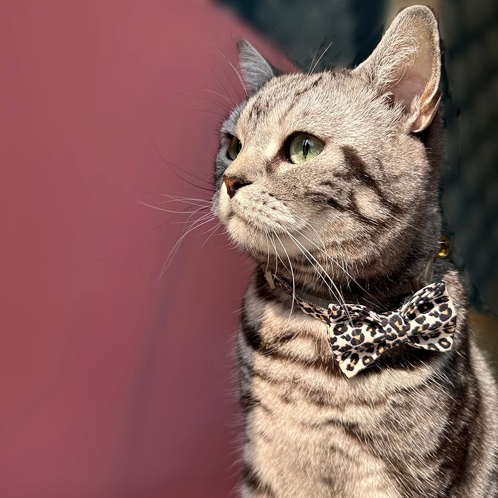 WildSide Animal Print Cat Collar – Breakaway Protection with Bow Tie & Bell
