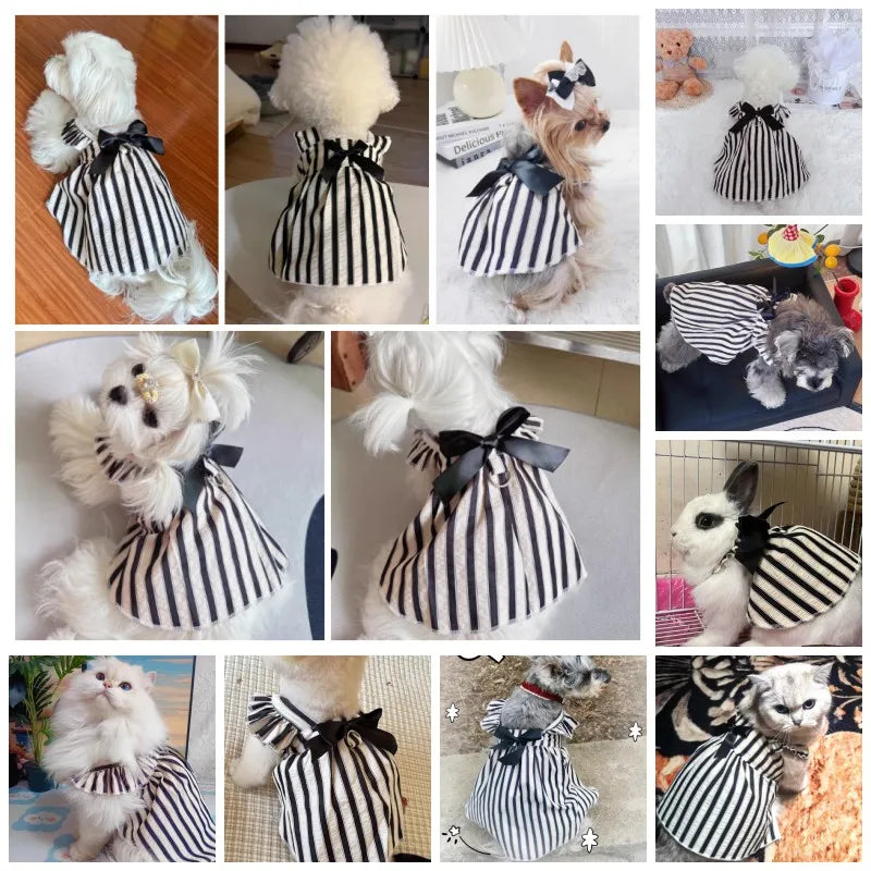 LuxePaws Striped Princess Dress – Chic Summer Vest Skirt for Small Dogs