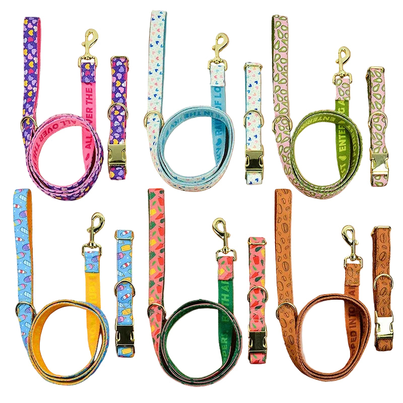 Vibrant Paws Luxury Double-Sided Collar & Leash Set – Adjustable and Colorful for All Dogs