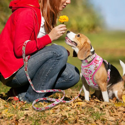 VibrantVibe Floral Mesh Harness, Collar, and Leash Set – Breathable No-Pull Walking Comfort with Engravable ID