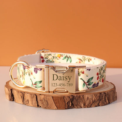 Personalized Dog Collar & Leash Set – Luxury Padded Nylon Walking Essentials with Custom Nameplate