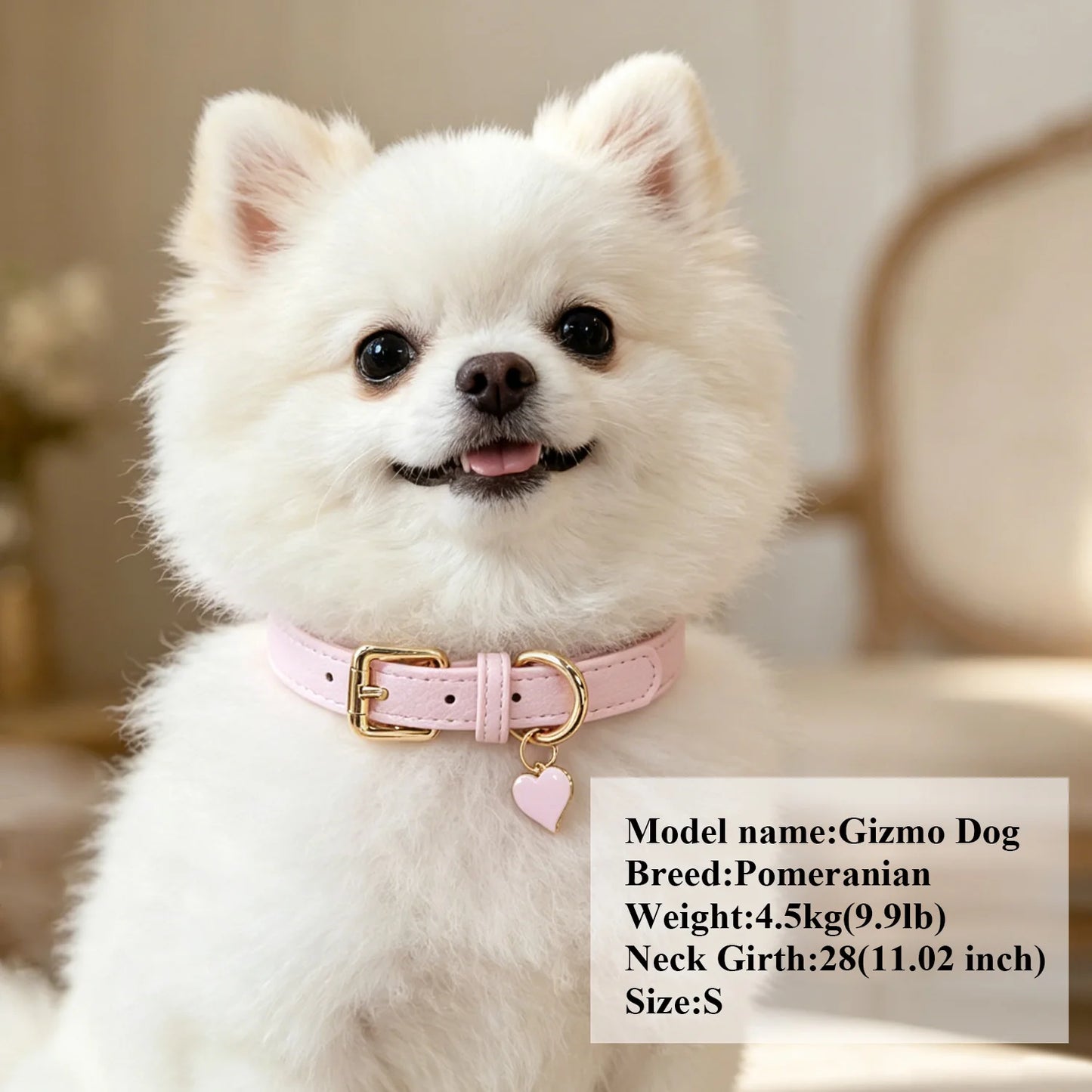 SoftGlow Custom PU Leather Collar – Gentle Comfort with Engraved Name Tag