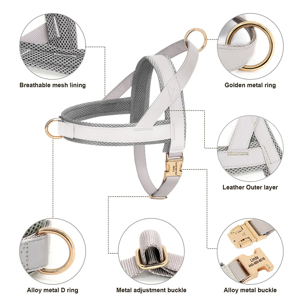 Personalized Leather Harness & Leash Set with Bag - Comfort & Style for Every Adventure