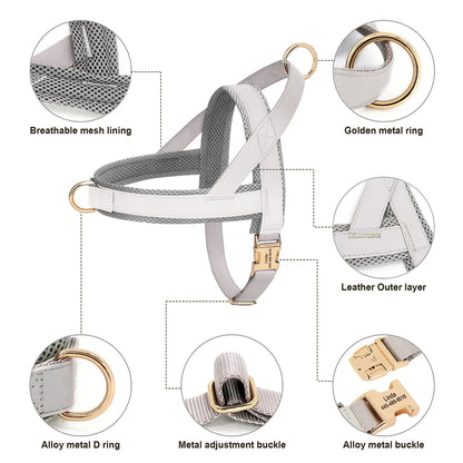 Personalized Leather Harness & Leash Set with Bag - Comfort & Style for Every Adventure