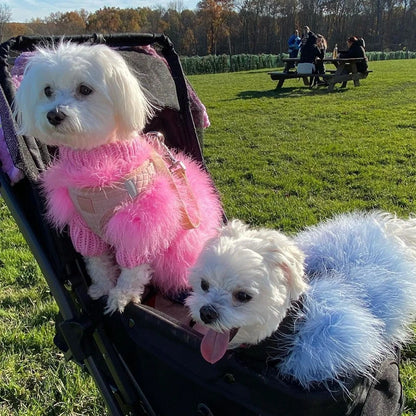 LuxePaw Colorful Faux Fur Sweater - Designer Warmth for Small Dogs & Cats