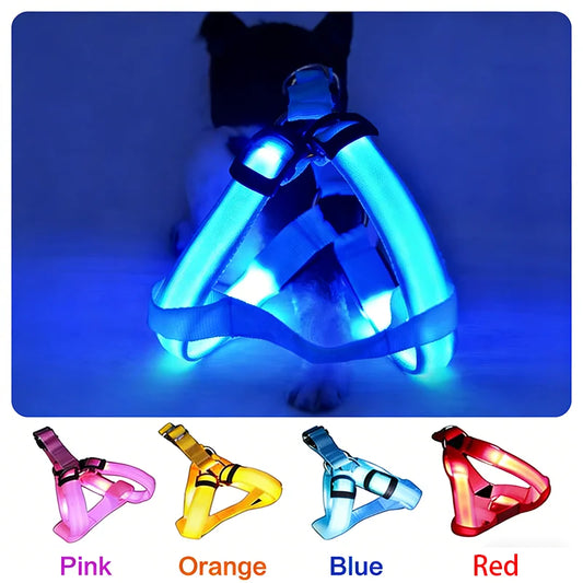 LumiPaws LED Safety Harness – Adjustable No-Pull Night-Glow Vest