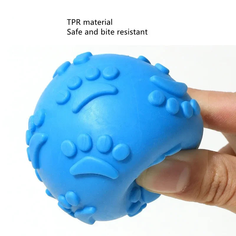 PawPlay Textured Rubber Squeaky Ball – Non-Toxic Interactive Chew Toy for Dogs