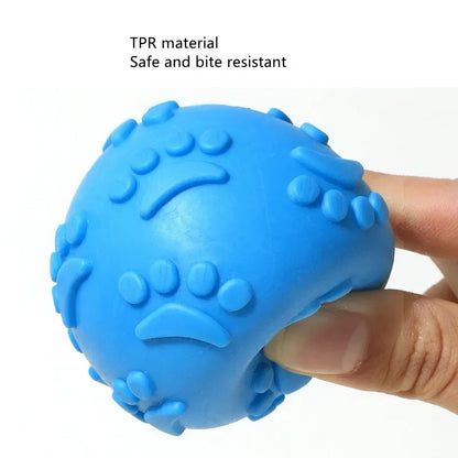 PawPlay Textured Rubber Squeaky Ball – Non-Toxic Interactive Chew Toy for Dogs