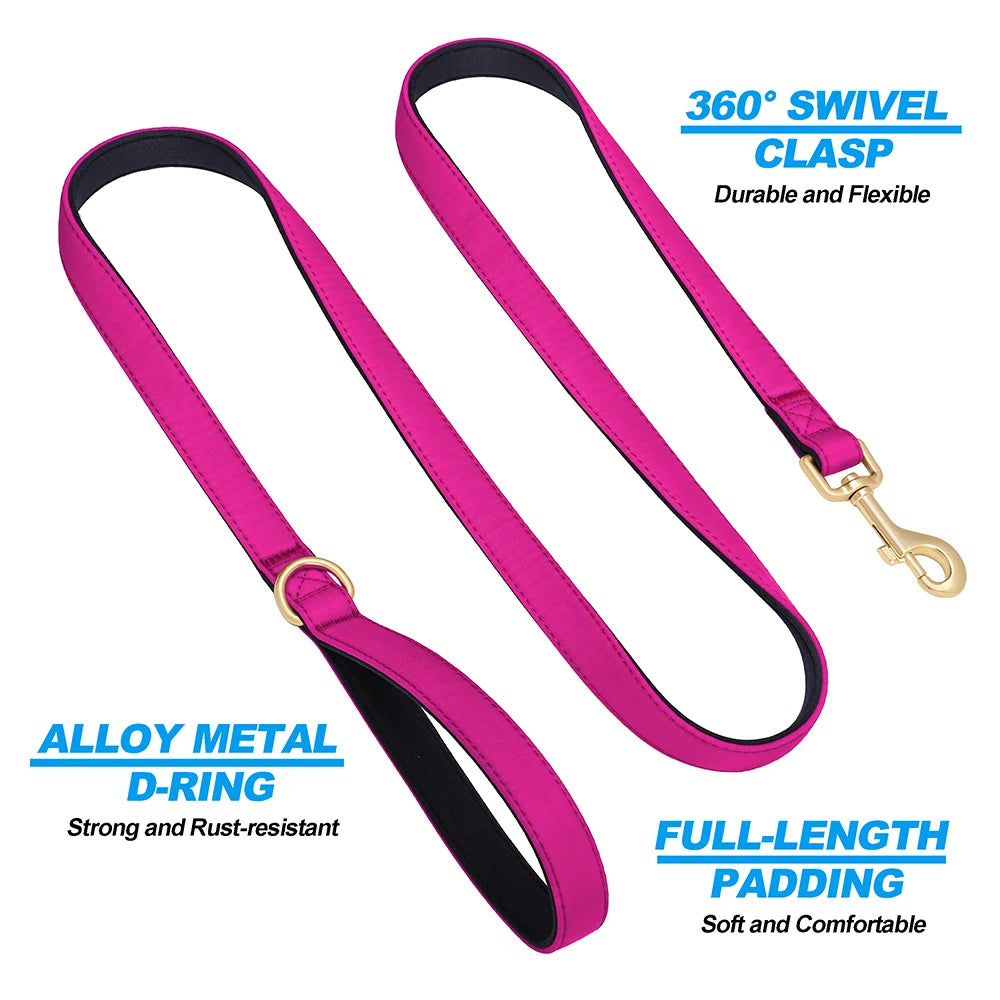 Vibrant Nylon Dog Leash – Heavy-Duty Walking Lead with Soft Padded Handle