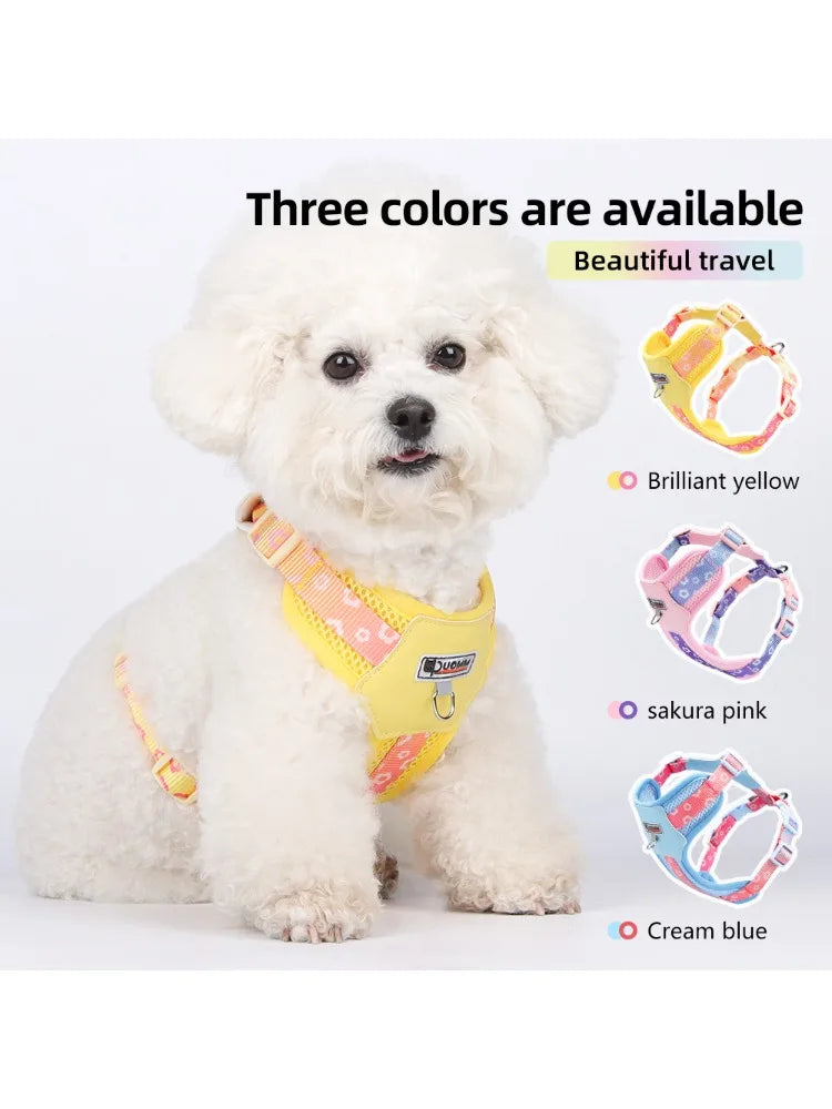 Vibrant Gradient No-Pull Dog Harness & Leash Set for Small Dogs