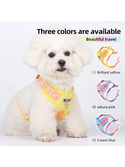 Vibrant Gradient No-Pull Dog Harness & Leash Set for Small Dogs