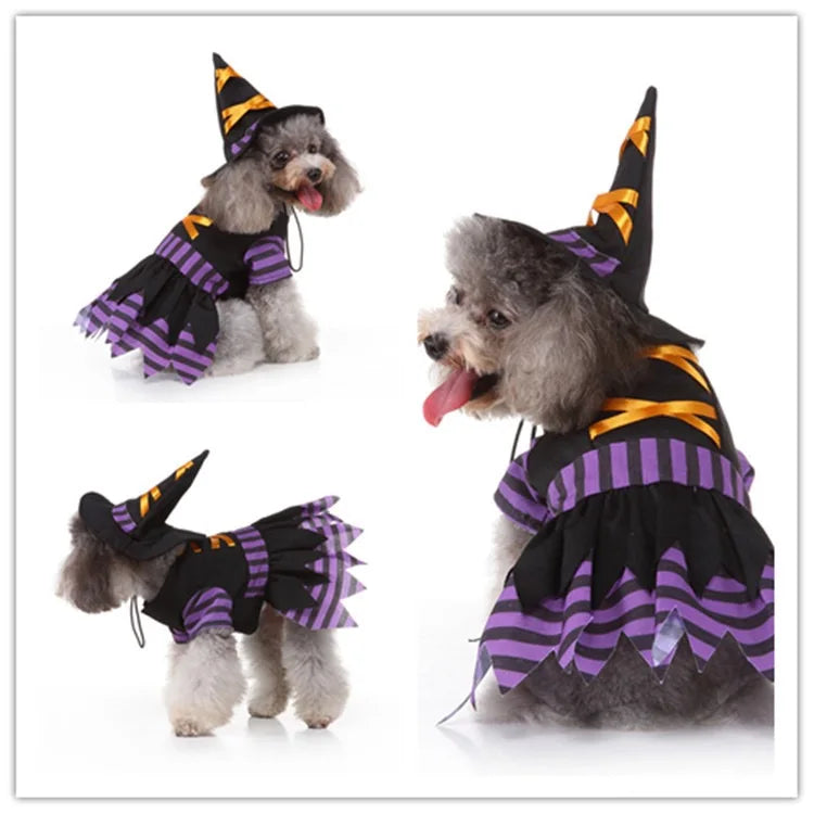 Festive Costume Set – Charming Holiday Cosplay Apparel for Dogs & Cats for Halloween, Christmas and more