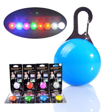 Load image into Gallery viewer, Led Dog Collar Pendant Rechargeable