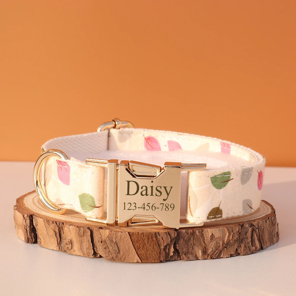 Personalized Dog Collar & Leash Set – Luxury Padded Nylon Walking Essentials with Custom Nameplate