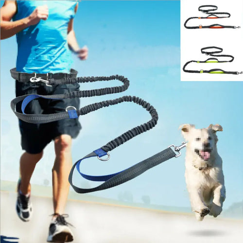 Reflective Leash Rope Dog Running Belt