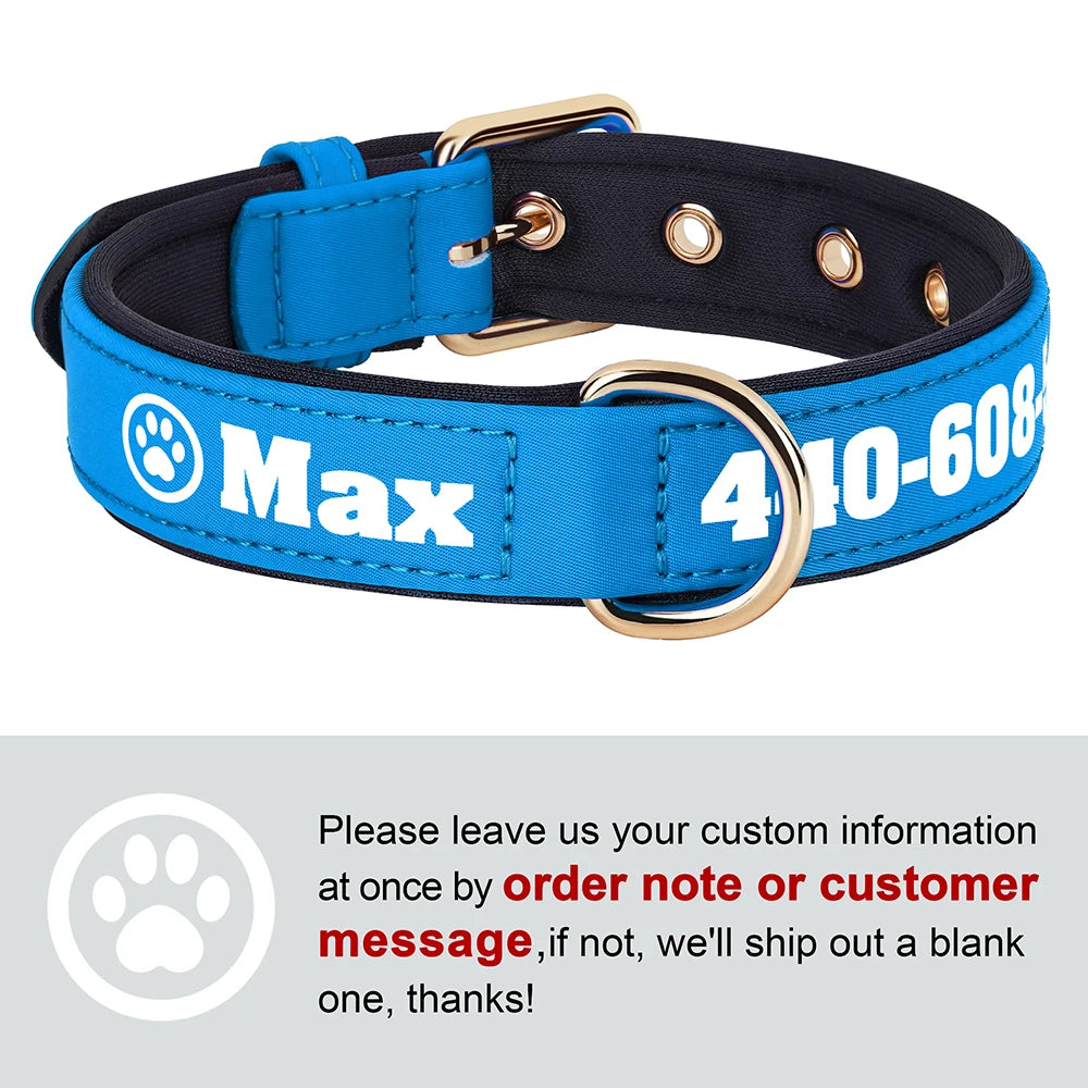 Personalized Breathable Nylon Dog Collar with Soft Padding