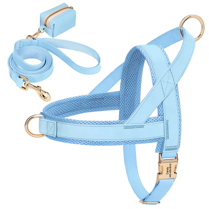 Personalized Leather Harness & Leash Set with Bag - Comfort & Style for Every Adventure