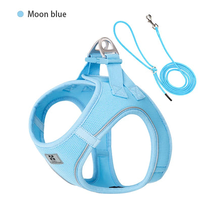 Reflective Comfort Harness & Leash Set for Small to Medium Dogs