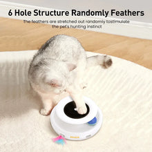 Load image into Gallery viewer, ROJECO 2 in 1 Smart Automatic Feather Fun Ball Toy Set for Cat