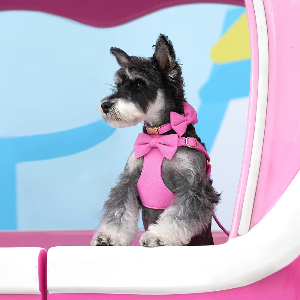 BowTie Charm 4-Piece Walking Set – Soft Vest Harness, Collar, Leash, and Poop Bag Holder