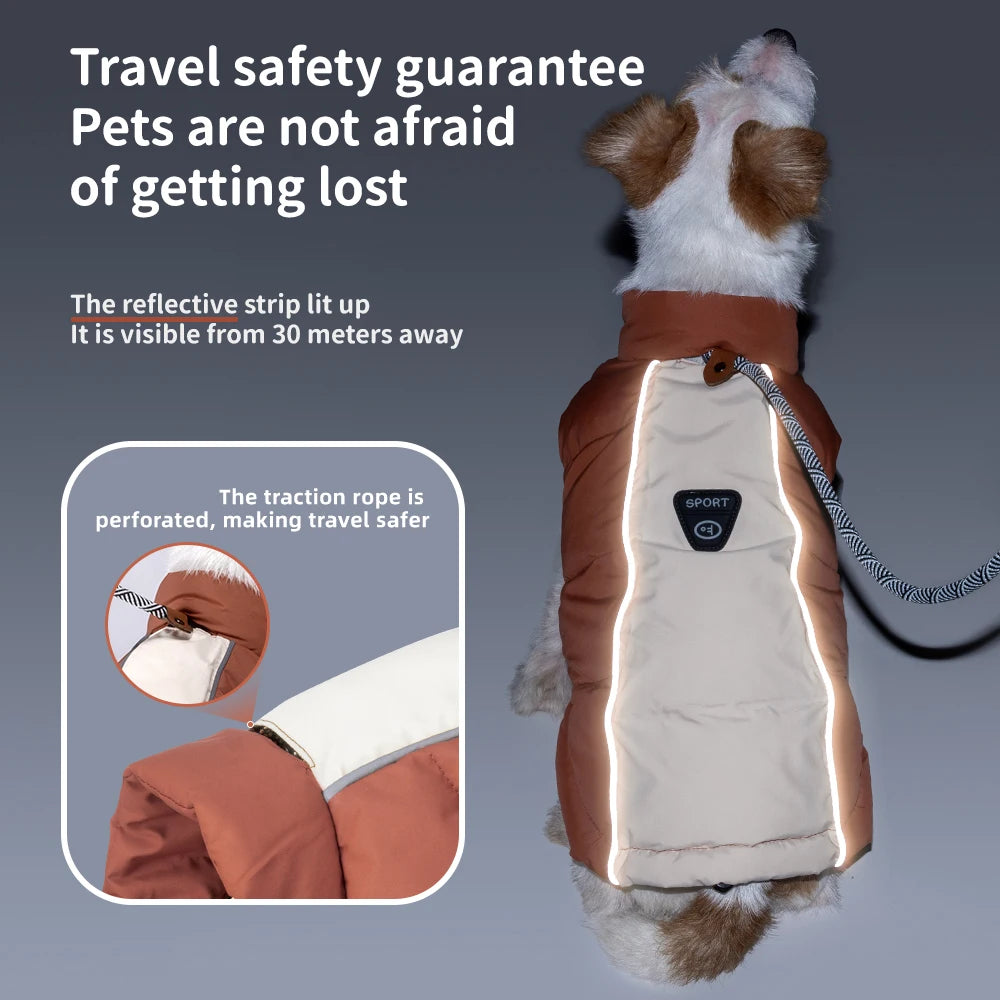 Cozy Paws Thermal Puffer Jacket - Two-Tone Winter Warmth for Small Dogs