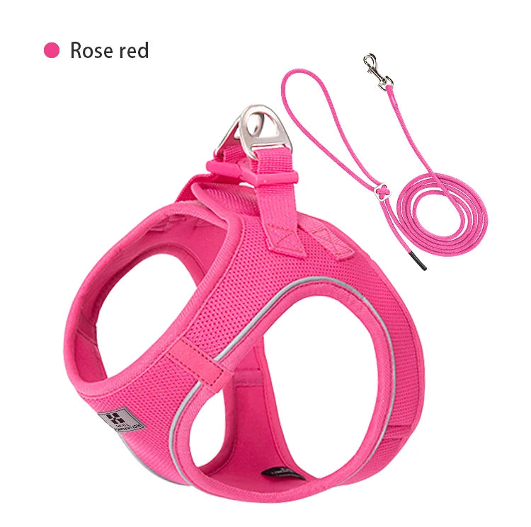 Reflective Comfort Harness & Leash Set for Small to Medium Dogs