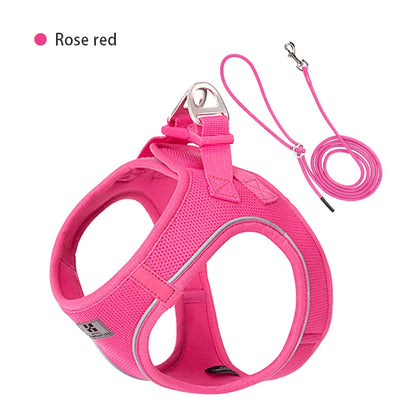 Reflective Comfort Harness & Leash Set for Small to Medium Dogs