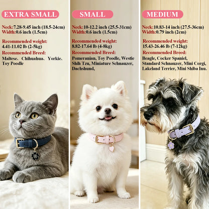SoftGlow Custom PU Leather Collar – Gentle Comfort with Engraved Name Tag