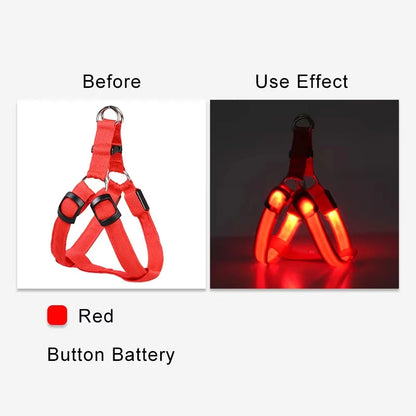 LumiPaws LED Safety Harness – Adjustable No-Pull Night-Glow Vest