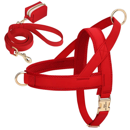 Personalized Leather Harness & Leash Set with Bag - Comfort & Style for Every Adventure