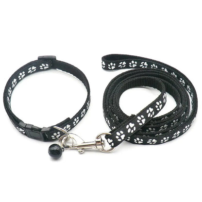 Adjustable Printed Collar & Leash Set – Ultimate Outdoor Freedom for All Life Stages